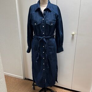 Banana Republic Indigo Denim Dress